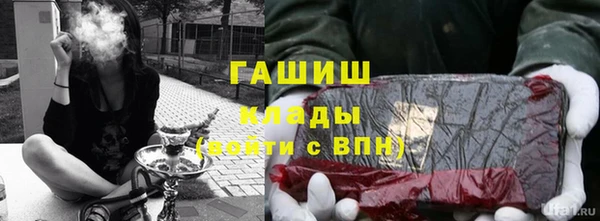 PSILOCYBIN Кулебаки