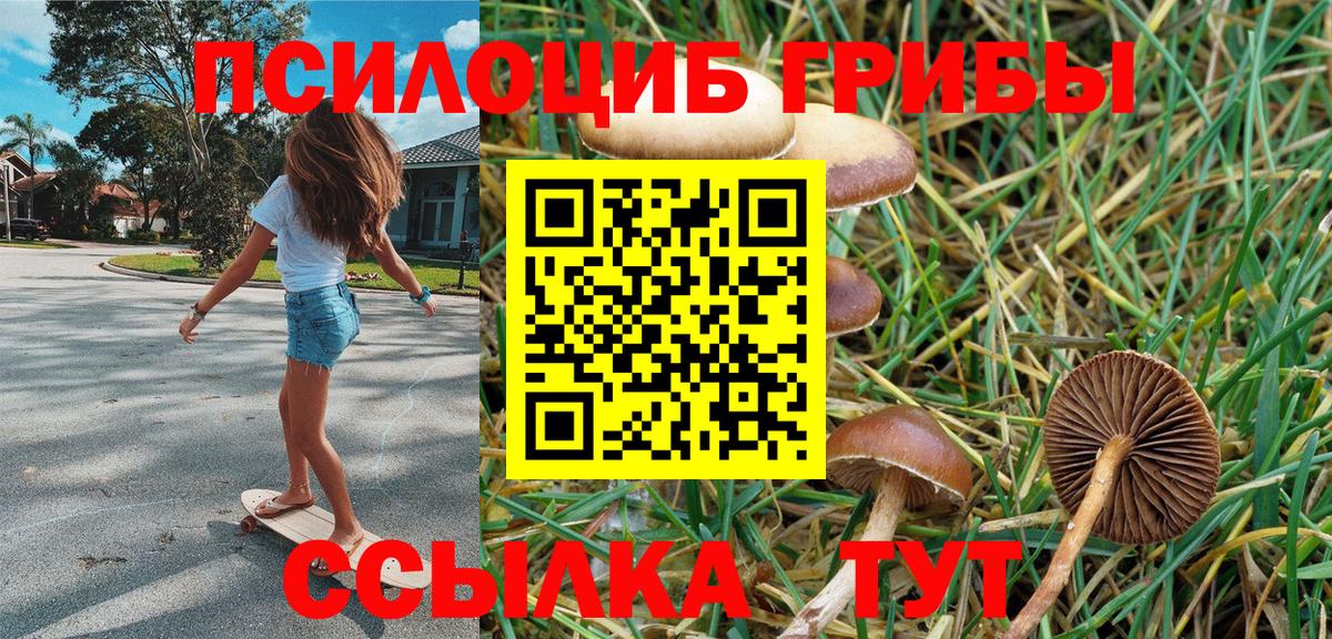 Псилоцибиновые грибы Cubensis  Вход с VPN  Галлюциногенные грибы прущие грибы  Углич 