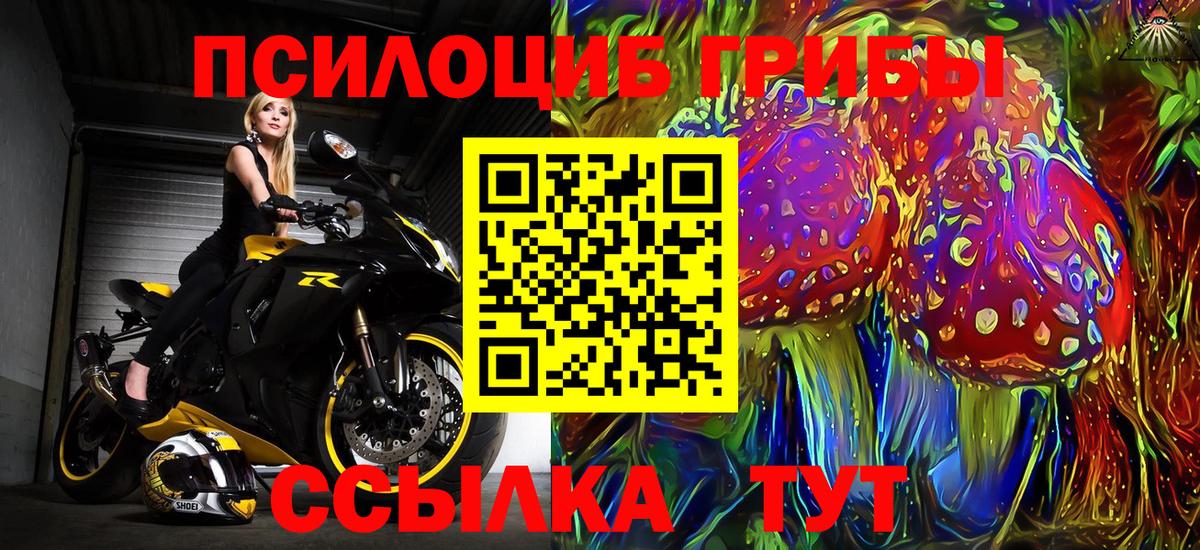 Псилоцибиновые грибы Magic Shrooms Углич